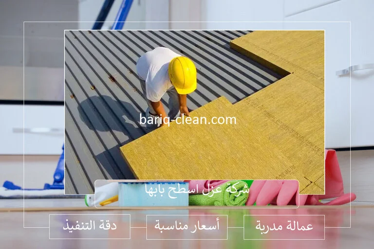 افضل شركة عزل اسطح بابها