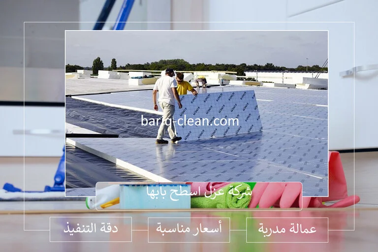 شركة عزل اسطح بابها