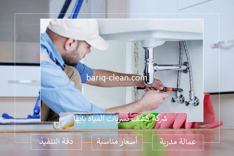 افضل شركة كشف تسربات المياه بابها
