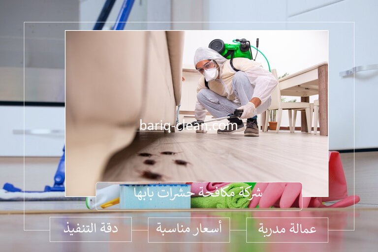 افضل شركة مكافحة حشرات بابها