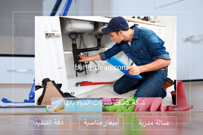 شركة كشف تسربات المياه بابها