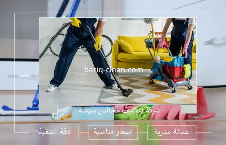 شركة تنظيف سجاد ببيشة