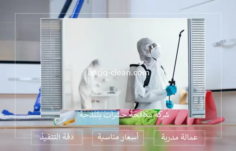 خدمات شركة مكافحة حشرات بتندحة