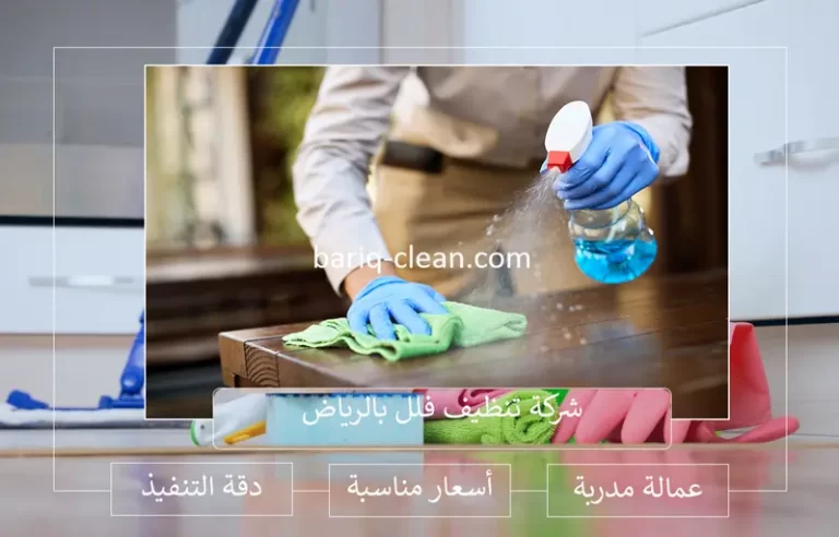 شركة تنظيف فلل بالرياض