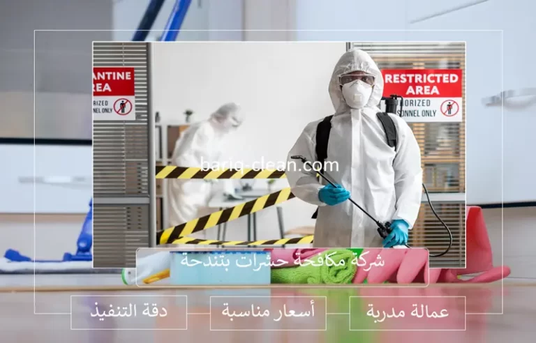 شركة رش حشرات بتندحة