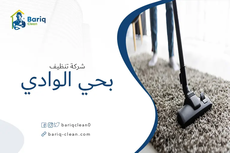 تنظيف مجالس بحي الوادي