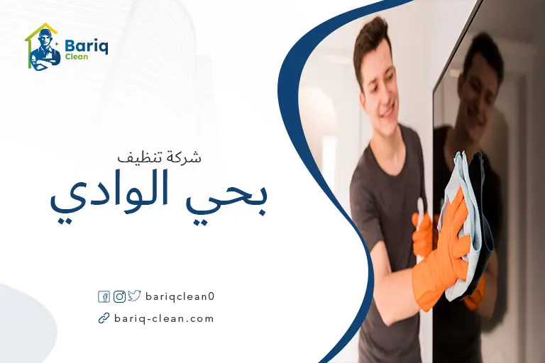 تنظيف منازل بحي الوادي