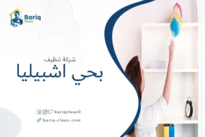 شركة تنظيف بحي اشبيليا