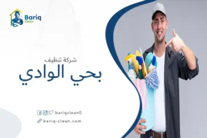 شركة تنظيف بحي الوادي