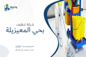 شركة تنظيف بحي المعيزيلة