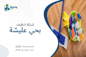 شركة تنظيف بحي عليشة