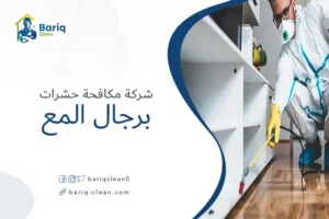 شركة مكافحة حشرات برجال المع