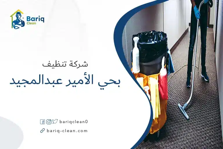 تنظيف بيوت بحي الأمير عبدالمجيد
