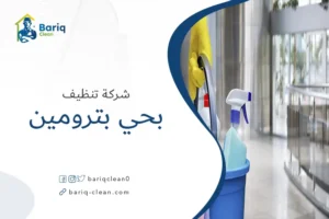 شركة تنظيف بحي بترومين