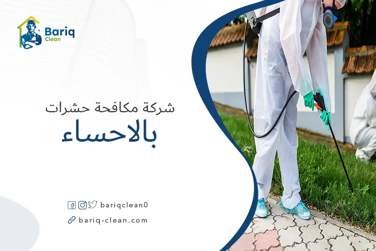 شركة رش حشرات بالاحساء