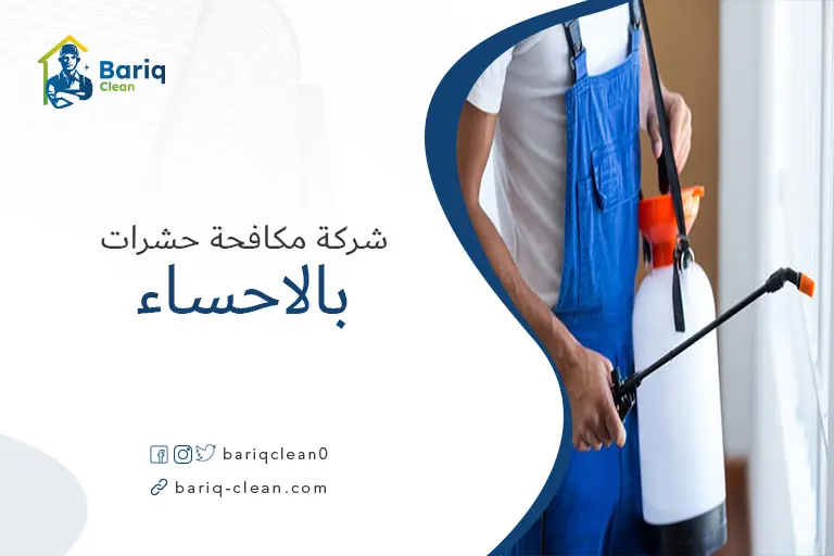 مكافحة حشرات بالاحساء