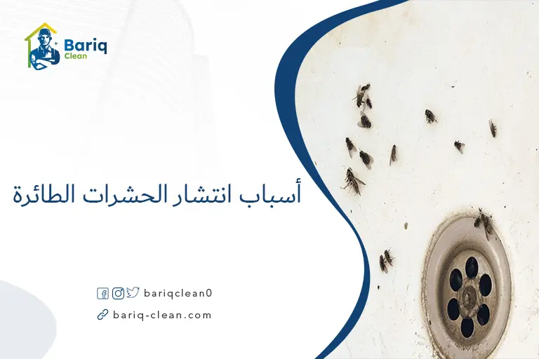 أسباب انتشار الحشرات الطائرة
