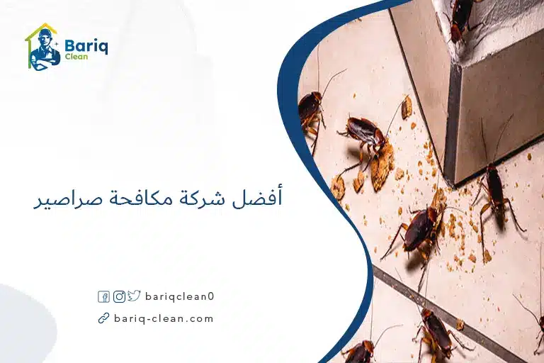 أفضل شركة مكافحة صراصير