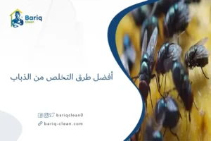 أفضل طرق التخلص من الذباب