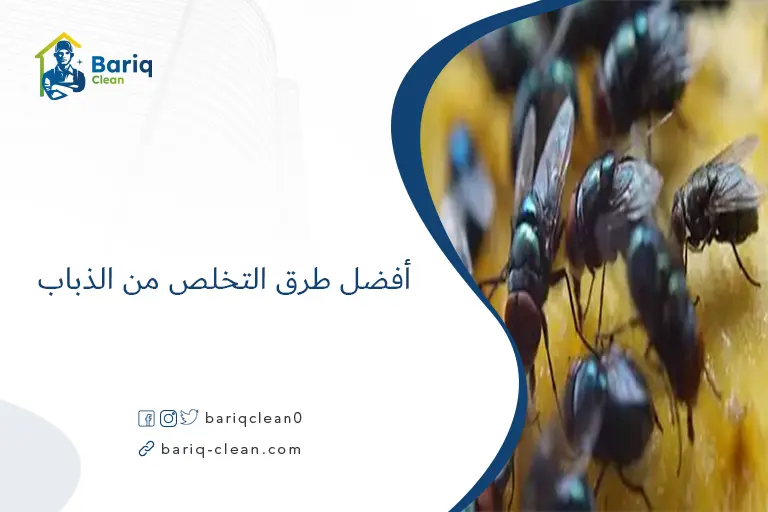 أفضل طرق التخلص من الذباب