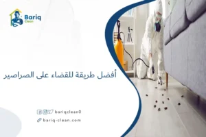 أفضل طريقة للقضاء على الصراصير