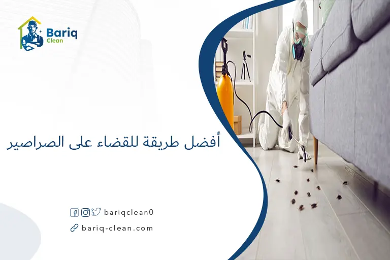 أفضل طريقة للقضاء على الصراصير