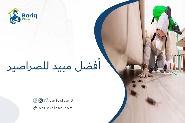أفضل مبيد للصراصير