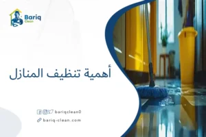 أهمية تنظيف المنازل