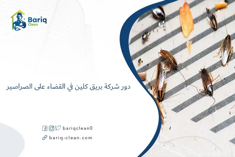 دور شركة بريق كلين في القضاء على الصراصير