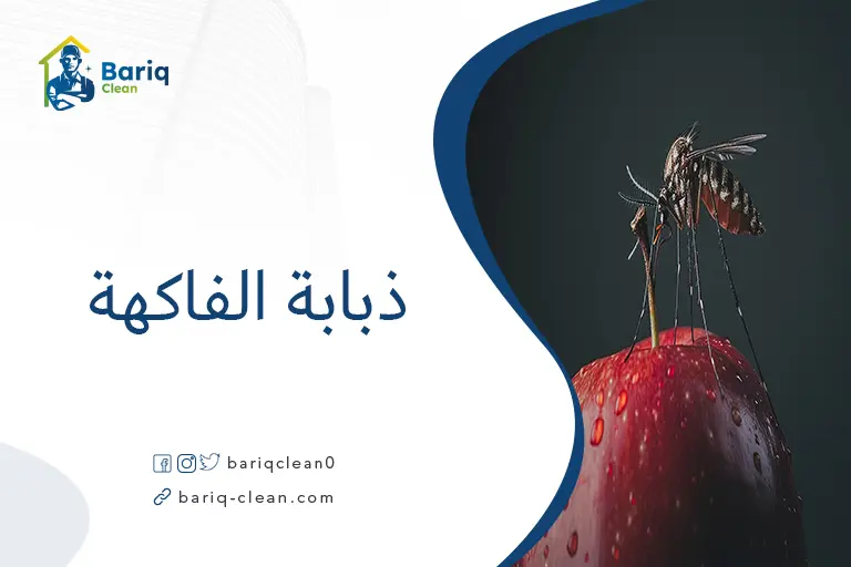 ذبابة الفاكهة