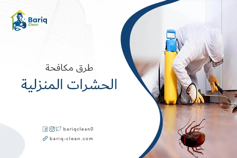 طرق مكافحة الحشرات المنزلية