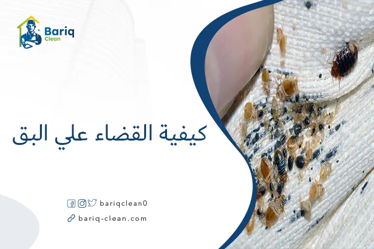 كيفية القضاء علي البق