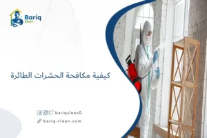 كيفية مكافحة الحشرات الطائرة