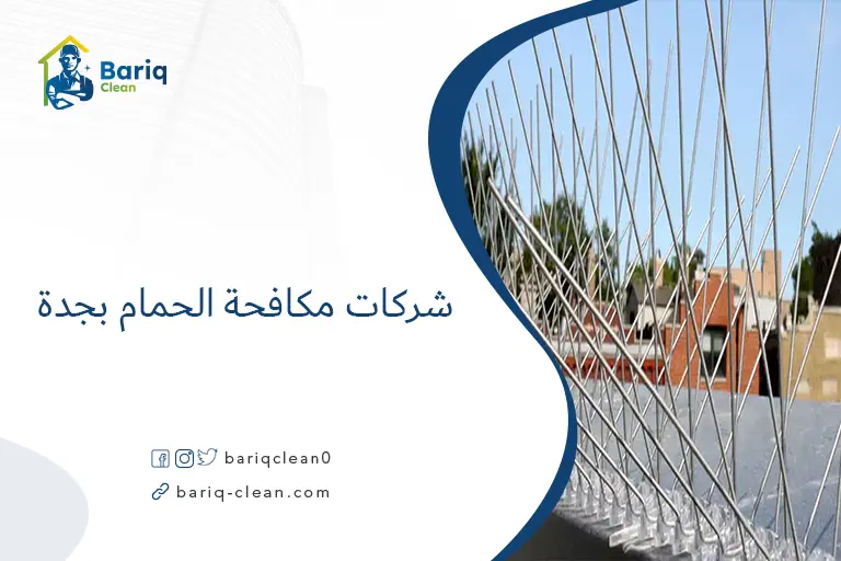 شركات مكافحة الحمام بجدة​