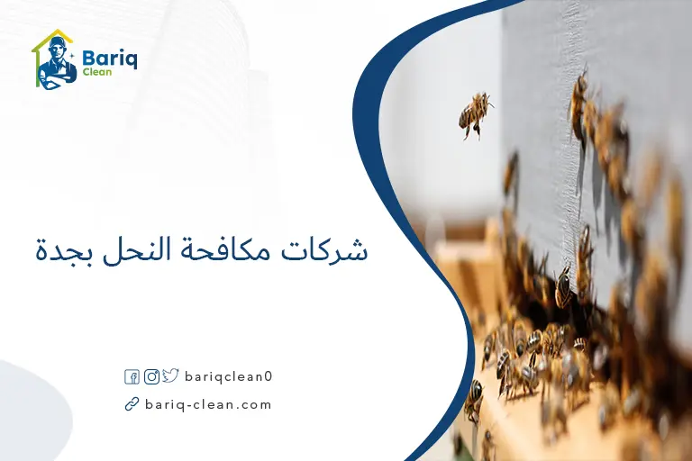 شركات مكافحة النحل بجدة​