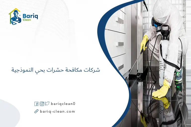 شركات مكافحة حشرات بحي النموذجية​