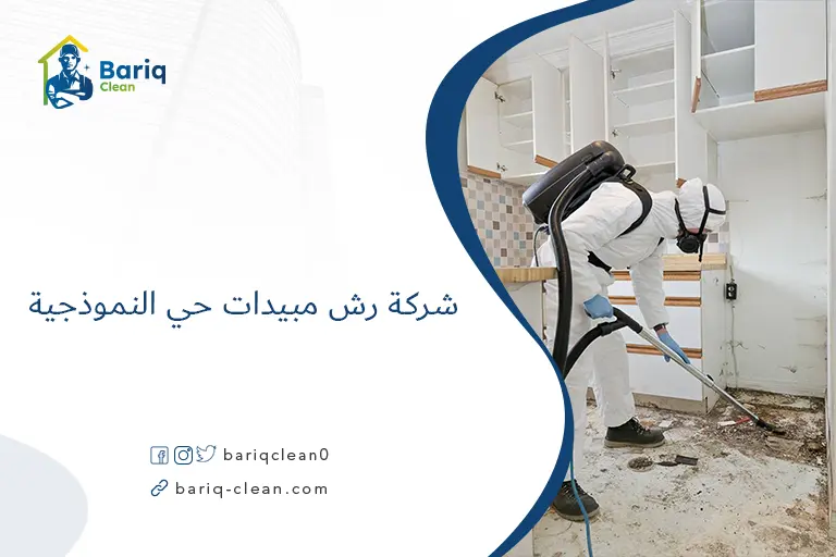 شركة رش مبيدات حي النموذجية​
