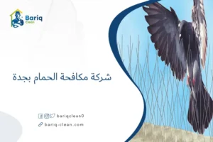 شركة مكافحة الحمام بجدة