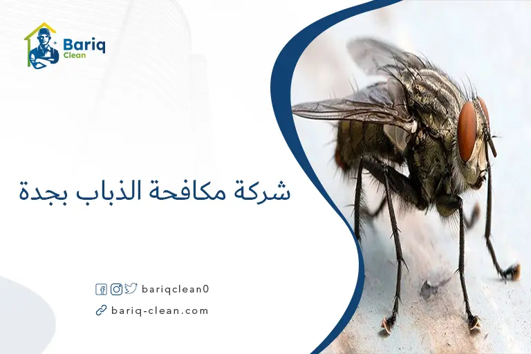شركة مكافحة الذباب بجدة