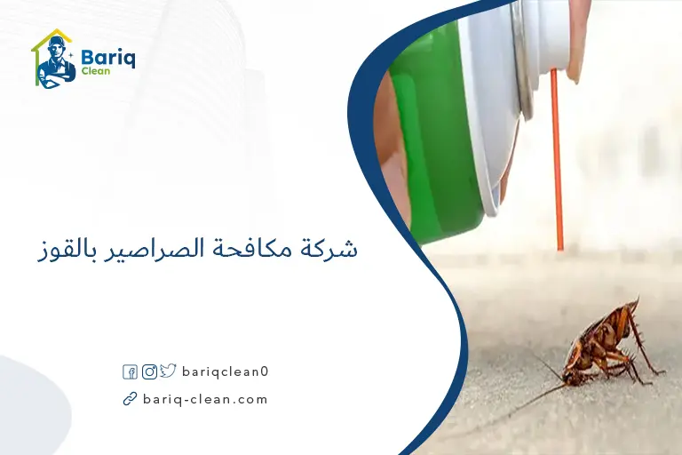 شركة مكافحة الصراصير بالقوز​