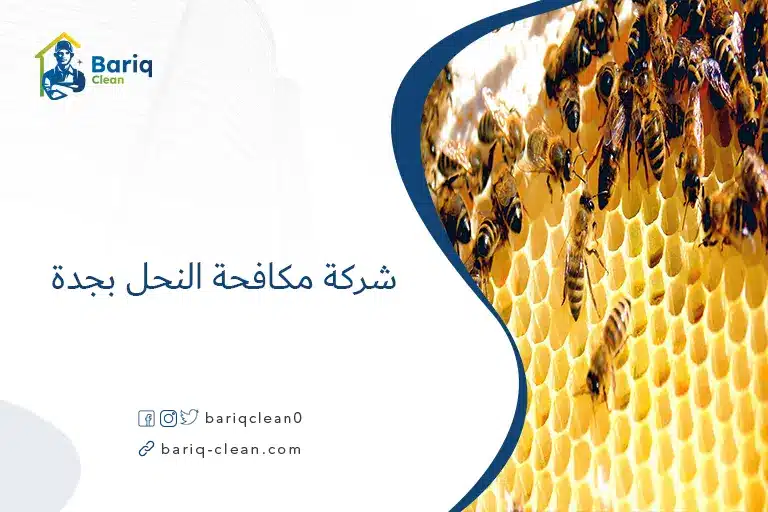 شركة مكافحة النحل بجدة