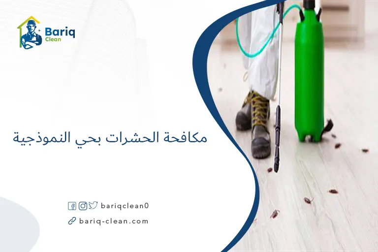 مكافحة الحشرات بحي النموذجية​
