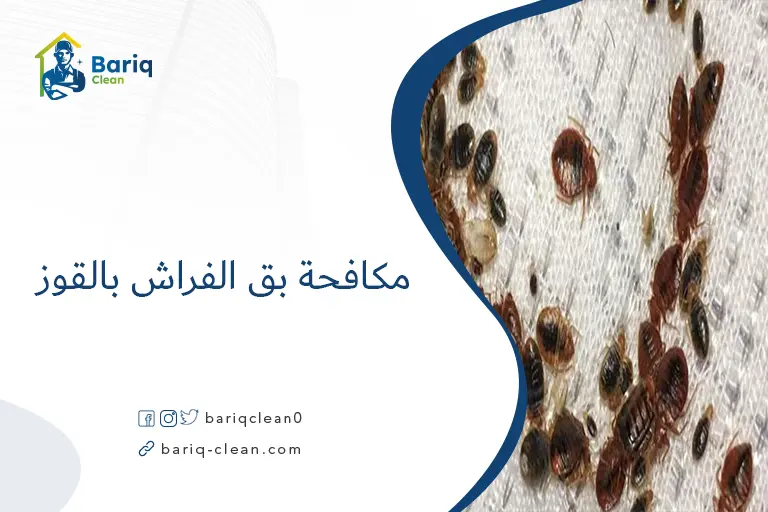 مكافحة بق الفراش بالقوز​