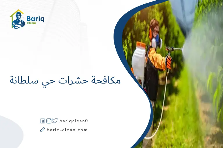 مكافحة حشرات حي سلطانة​