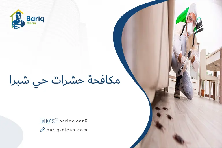 مكافحة حشرات حي شبرا​