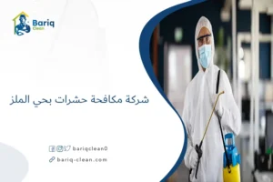 شركة مكافحة حشرات بحي الملز