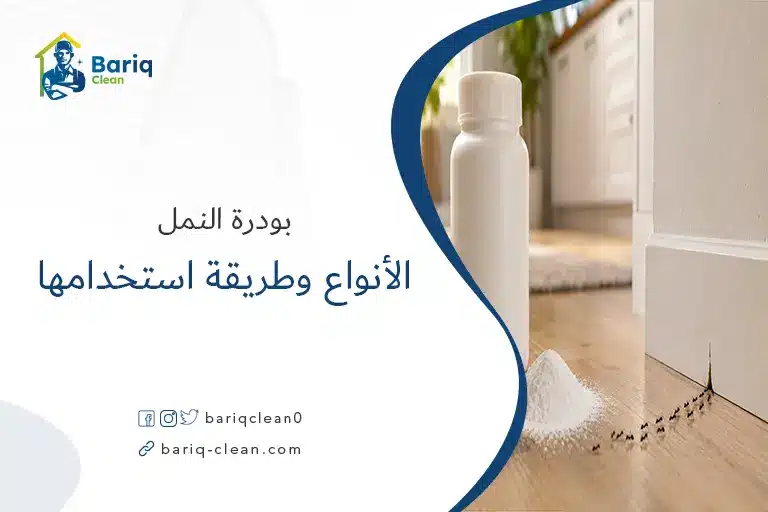 بودرة النمل بجوار مسار للنمل الأسود داخل المنزل