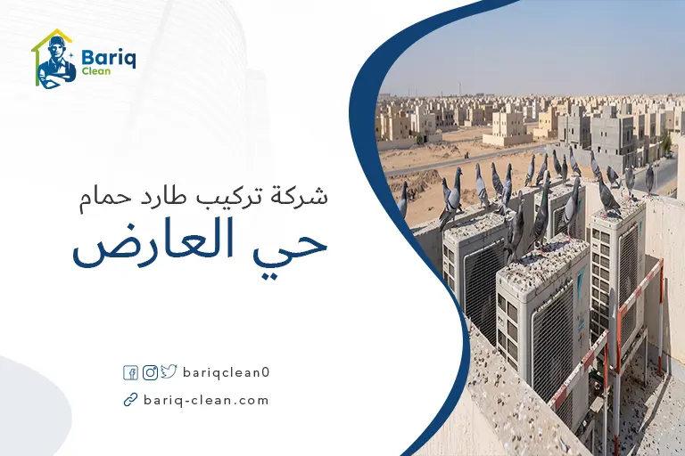 حمام يقف فوق وحدة تكييف خارجية، يوضح مشكلة تجمع الطيور في حي العارض.